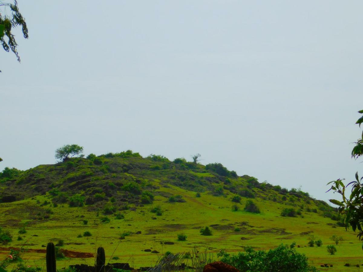 Coconut Tree Resort Gokarna Гокарна Экстерьер фото